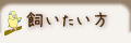 飼いたい方