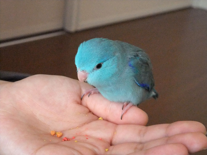 そらちゃん写真