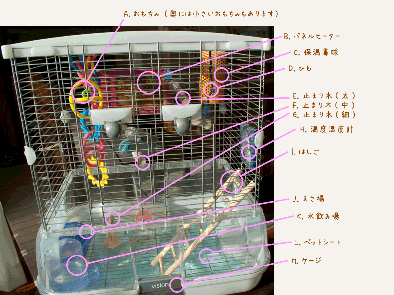 そらちゃんのお部屋（冬）