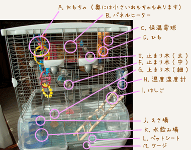 そらちゃんお部屋(冬)